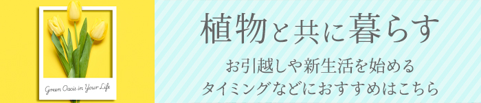 引っ越し・新生活祝いにおすすめの花