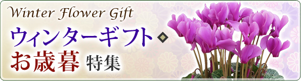 お歳暮・ウィンターギフト特集2015 お歳暮・ウィンターギフト特集2015