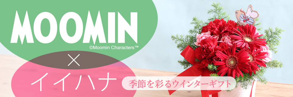 ウィンターフラワーギフト・プレゼント特集2025 MOOMIN×イイハナメイン画像