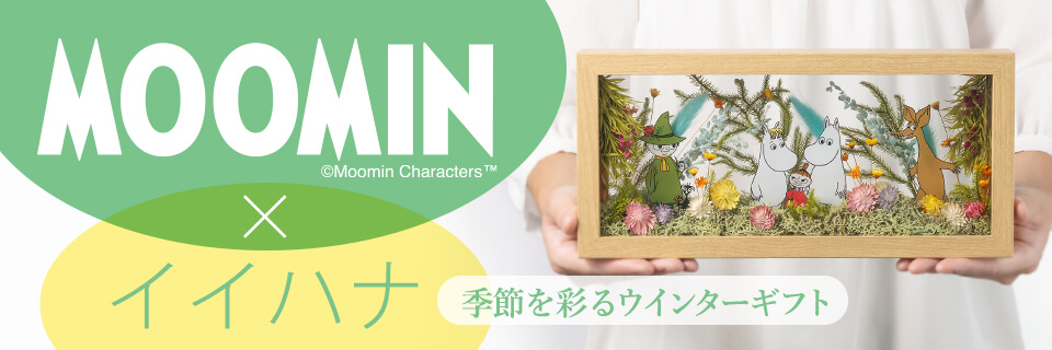 MOOMIN×イイハナ通常特集メイン画像