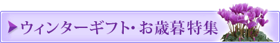 お歳暮・ウィンターギフト特集2015 受付期間:9/14(日)まで お届け期間:9/13(土)~9/15(月)