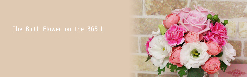 THE BIRTH FLOWER ON THE 365th 6月の誕生花と花言葉