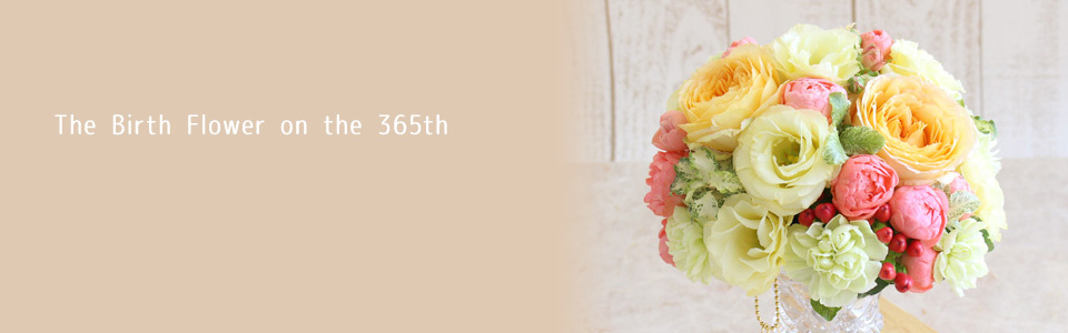 THE BIRTH FLOWER ON THE 365th 11月の誕生花と花言葉