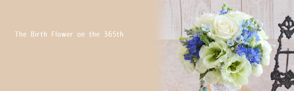 THE BIRTH FLOWER ON THE 365th 12月の誕生花と花言葉