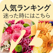 人気ランキング