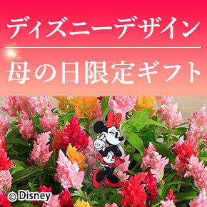 ディズニーデザイン