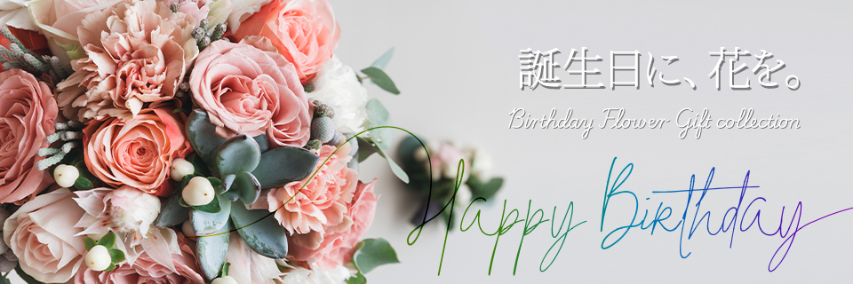 �a�����t�����[�M�t�g�E�v���[���g���W