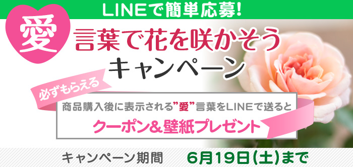 LINEŊȒP!@hhtŉԂ炩Ly[