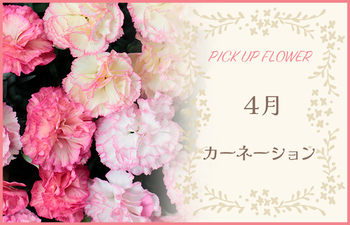 PICK UP FLOWER4J[l[V