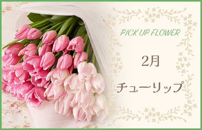 PICK UP FLOWER2`[bv
