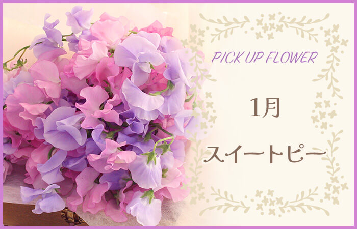 PICK UP FLOWER1XC[gs[