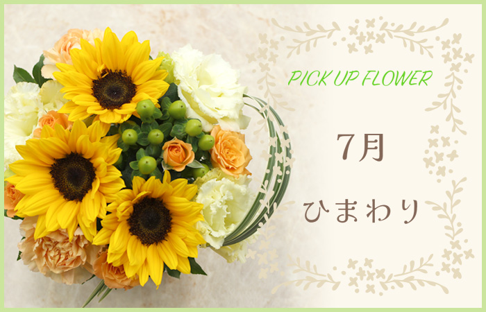 PICK UP FLOWR7Ђ܂