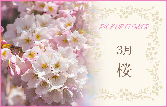 PICK UP FLOWER3