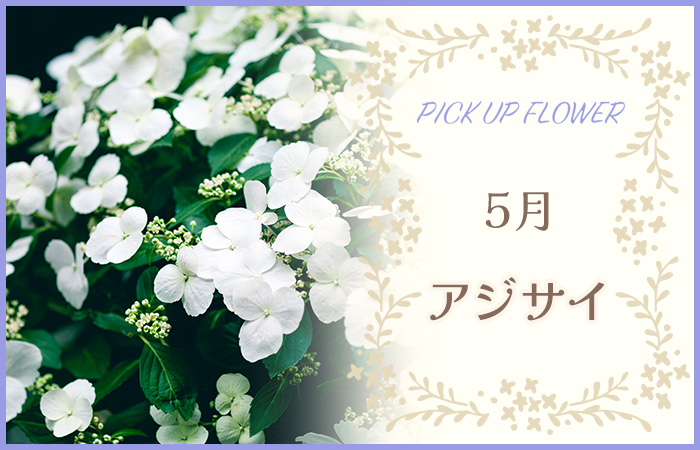 PICK UP FLOWER5AWTC