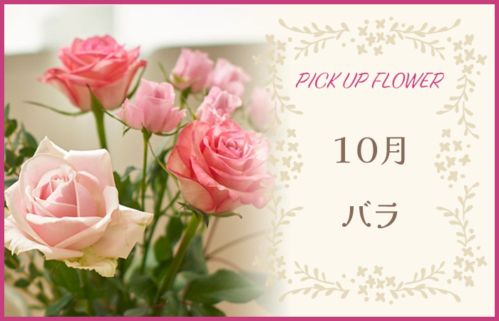 PICK UP FLOWER10o
