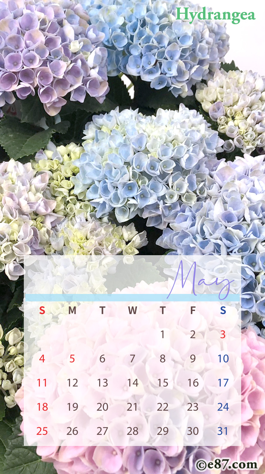 5̕ǎiJ_[tj