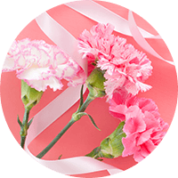 �J�[�l�[�V����