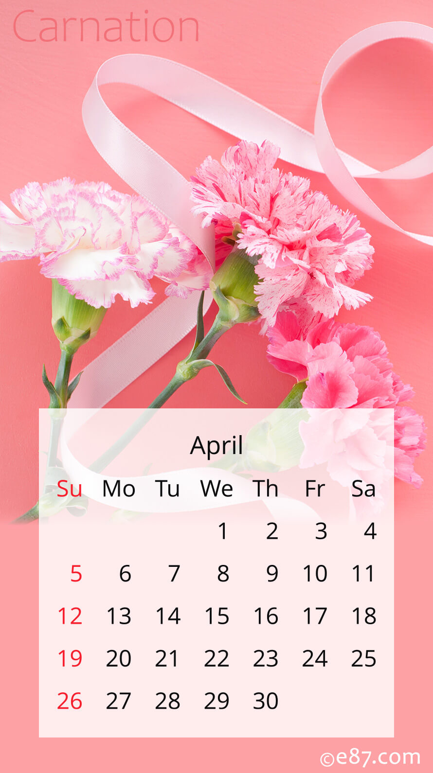 4���̕ǎ��i�J�����_�[�t�j