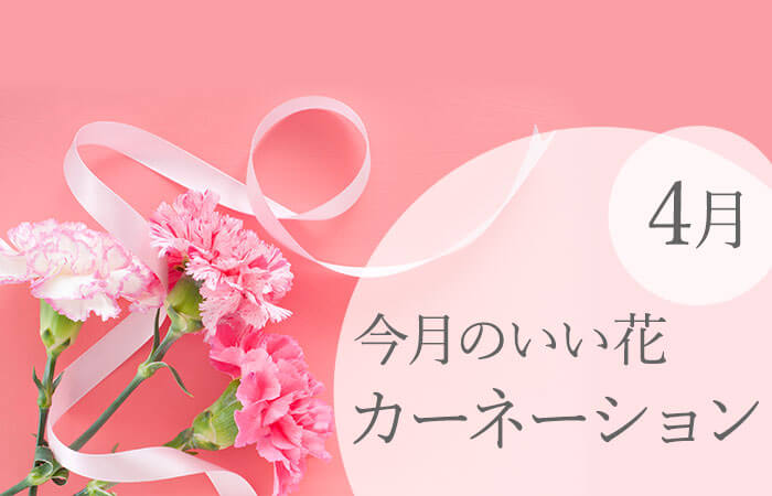 �����̂����ԁu4�� �J�[�l�[�V�����v