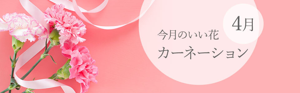 �����̂����ԁu4�� �J�[�l�[�V�����v