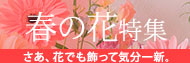 春の花特集