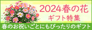 春の花プレゼント・ギフト特集2024