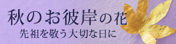 Ĥފ݂ɑ邨