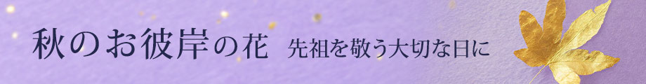 Ĥފ݂ɑ邨