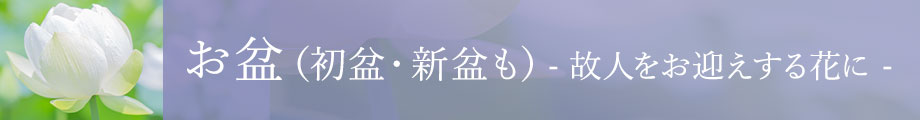 ~E~(V~)ɑ邨2025