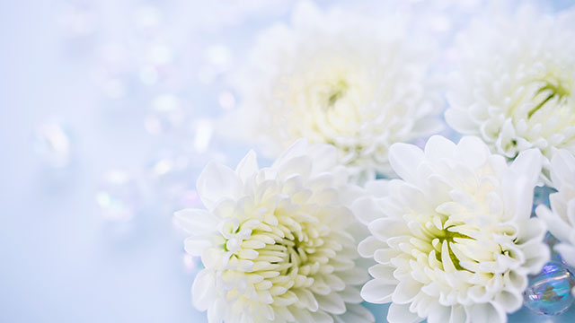 お悔やみのメッセージ イメージ