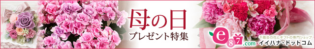 e87.com(千趣会イイハナ)