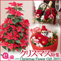 クリスマスツリー リース e87.com(千趣会イイハナ)