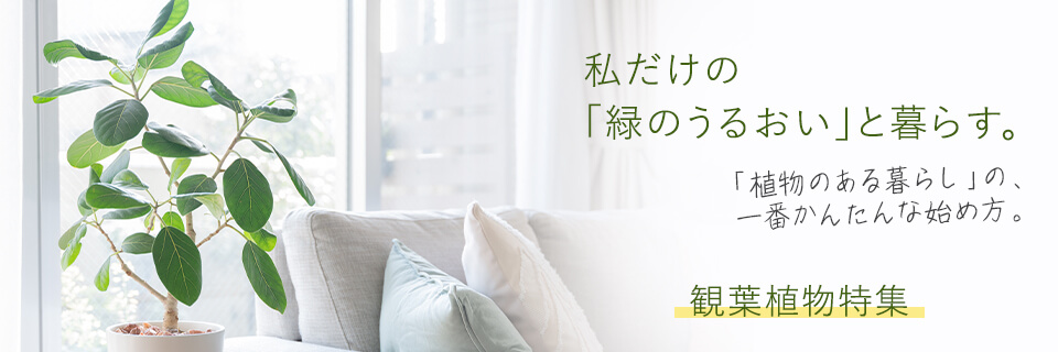 �ϗt�A���E�C���e���A�O���[�����W