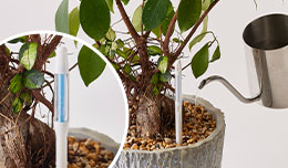 �T�X�e�B�[�C���[�W�摜