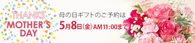 ��̓� �v���[���g�E�M�t�g���W2026