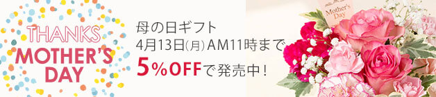 ��̓� �v���[���g�E�M�t�g���W2026