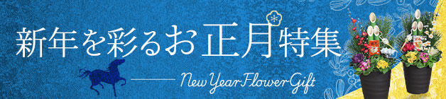 �������̉ԃM�t�g�E�v���[���g���W2026