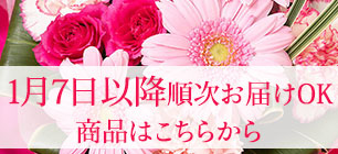 1��7���ȍ~�������͂�OK