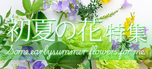 ���ẲԃM�t�g�E�v���[���g���W2026