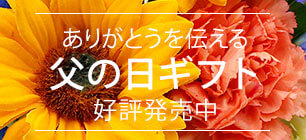 ���̓� �v���[���g�E�M�t�g���W2026