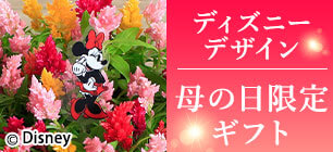 ��̓� �f�B�Y�j�[�f�U�C��