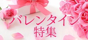 �o�����^�C���f�[���W