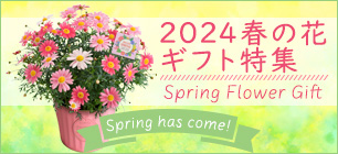 春の花プレゼント・ギフト特集