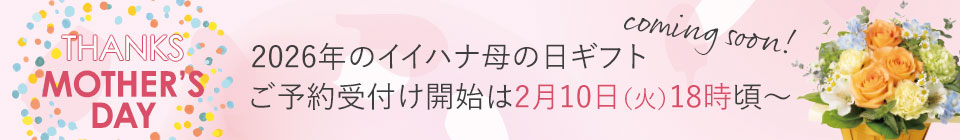 ��̓��v���[���g�E�M�t�g���W2026 �e�B�U�[�o�i�[