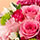 �h�V�̓� �v���[���g�E�M�t�g���W2026