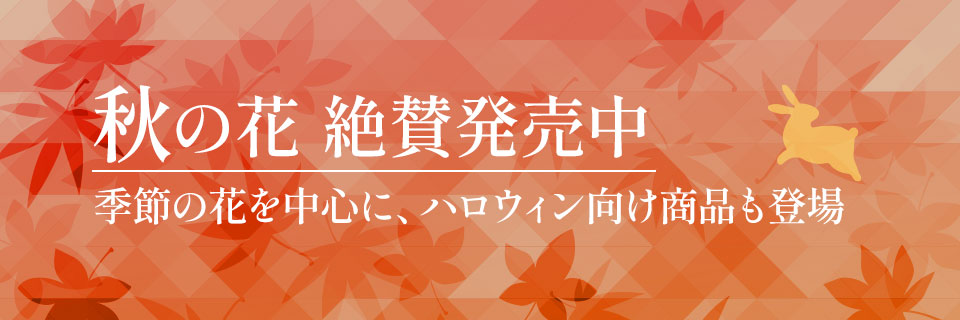 H̉