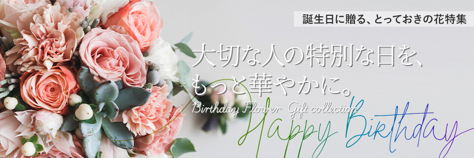 �a�����v���[���g���W