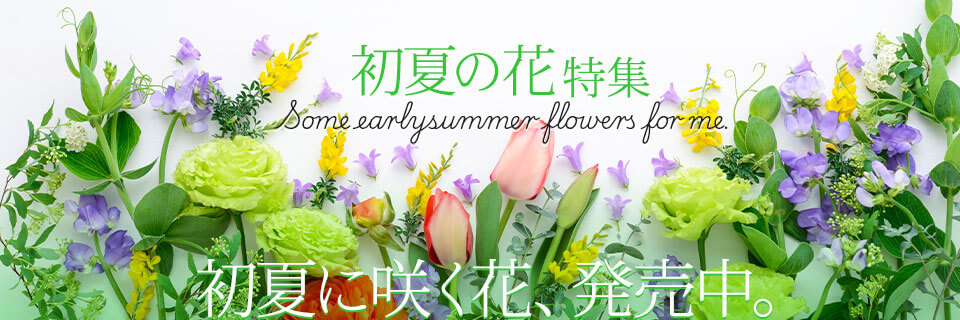 ���Ẳԓ��W