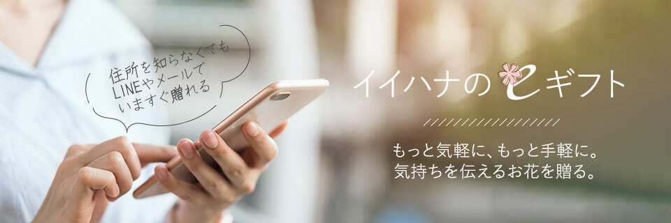 �C�C�n�i��e�M�t�g