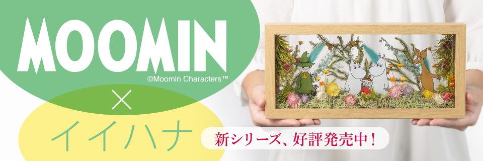 ���[�~���~�C�C�n�i